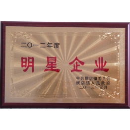 榮譽證(zheng)書